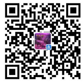 示例图片
